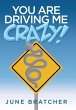 You Are Driving Me Crazy! - Bild 1