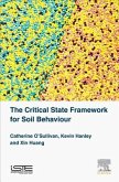 CRITICAL STATE FRAMEWORK FOR S
