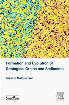 Formation and Evolution of Geological Grains and Sediments - Matsushima, Takashi