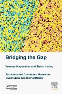 Bridging the Gap - Magnanimo, Vanessa; Luding, Stefan