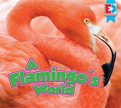 A Flamingo's World - Willis, John