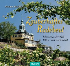 Zauberhaftes Radebeul - Helfricht, Jürgen