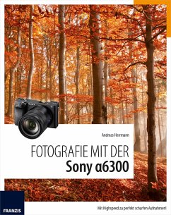 Fotografie mit der Sony Alpha 6300 (eBook, PDF) - Hermann, Andreas