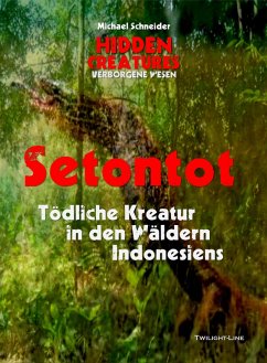 Setontot (eBook, ePUB) - Schneider, Michael