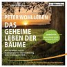 Das geheime Leben der Bäume - Bild 1