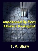 Imprisoned By Porn (eBook, ePUB)