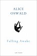Falling Awake (eBook, ePUB) - Bild 1