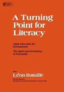 A Turning Point for Literacy (eBook, PDF)