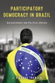 Participatory Democracy in Brazil (eBook, ePUB)