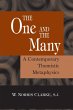 The One and the Many (eBook, ePUB) - Bild 1