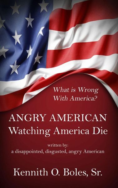 Angry American (eBook, ePUB)