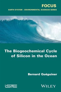 The Biogeochemical Cycle of Silicon in the Ocean (eBook, PDF) - Queguiner, Bernard