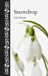 Snowdrop (eBook, ePUB) - Bild 1