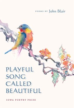 Playful Song Called Beautiful (eBook, ePUB) - John Blair, Blair