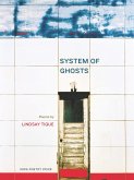 System of Ghosts (eBook, ePUB)