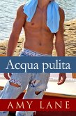 Acqua pulita (eBook, ePUB)