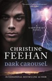 Dark Carousel (eBook, ePUB)