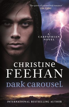 Dark Carousel (eBook, ePUB) - Feehan, Christine
