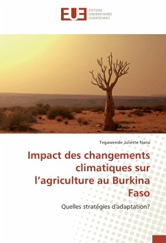 Impact des changements climatiques sur l¿agriculture au Burkina Faso - Nana, Tegawende J.