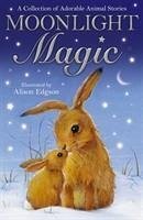 Cover Moonlight Magic