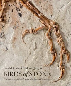 Birds of Stone - Chiappe, Luis M. (Curator and Director, Natural History Museum of Lo; Qingjin, Meng