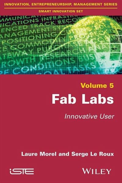 Fab Labs (eBook, PDF)