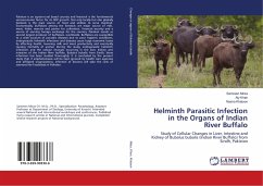 Helminth Parasitic Infection in the Organs of Indian River Buffalo