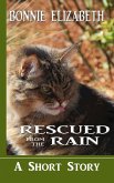 Rescued From the Rain (eBook, ePUB)