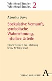 Spekulative Vernunft, symbolische Wahrnehmung, intuitive Urteile (eBook, PDF)