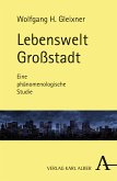Lebenswelt Großstadt (eBook, PDF)