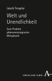 Welt und Unendlichkeit (eBook, PDF)