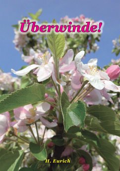 Überwinde (eBook, ePUB)