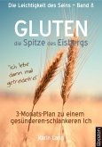 GLUTEN - die Spitze des Eisbergs (eBook, ePUB)