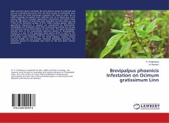 Brevipalpus phoenicis Infestation on Ocimum gratissimum Linn
