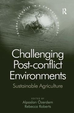 Challenging Post-conflict Environments - Özerdem, Alpaslan; Roberts, Rebecca