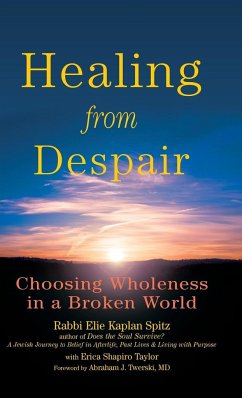Healing from Despair - Spitz, Rabbi Elie Kaplan