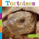 Tortoises