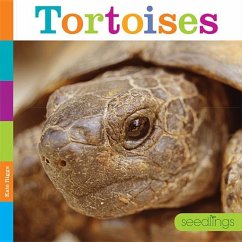 Tortoises - Riggs, Kate