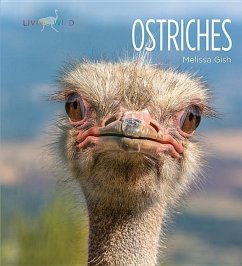 Ostriches - Gish, Melissa