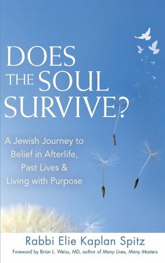 Does the Soul Survive? (2nd Edition) - Spitz, Rabbi Elie Kaplan