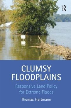 Clumsy Floodplains - Hartmann, Thomas