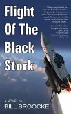 Flight of the Black Stork