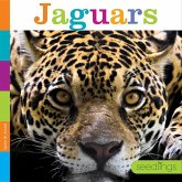 Jaguars Jaguars