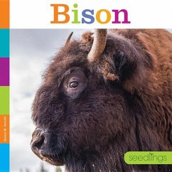 Bison - Arnold, Quinn M