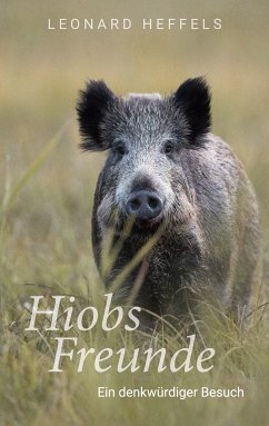 Hiobs Freunde (eBook, ePUB)