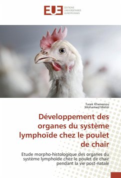 Cover Développement des organes du système lymphoïde chez le poulet de chair