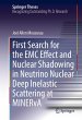 First Search for the EMC Effect and... - Bild 1