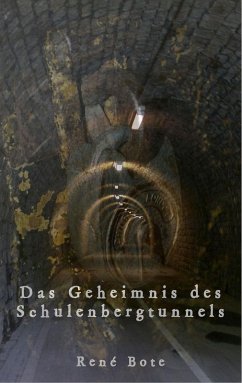 Das Geheimnis des Schulenbergtunnels (eBook, ePUB)