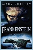 Frankenstein (eBook, ePUB)