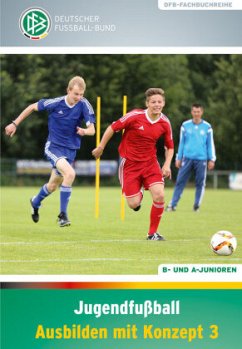 Jugendfußball - Ausbilden mit Konzept 3 - Engel, Frank; Prus, Michael; Vieth, Norbert